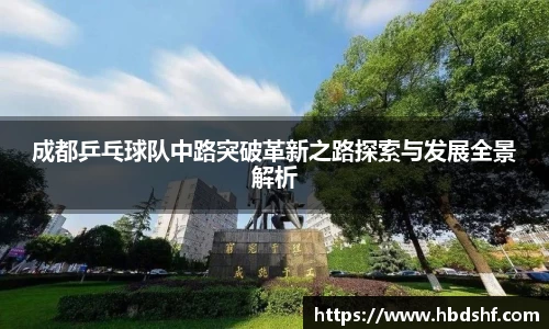 成都乒乓球队中路突破革新之路探索与发展全景解析